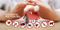 Residential Pest Control Brisbane image 1